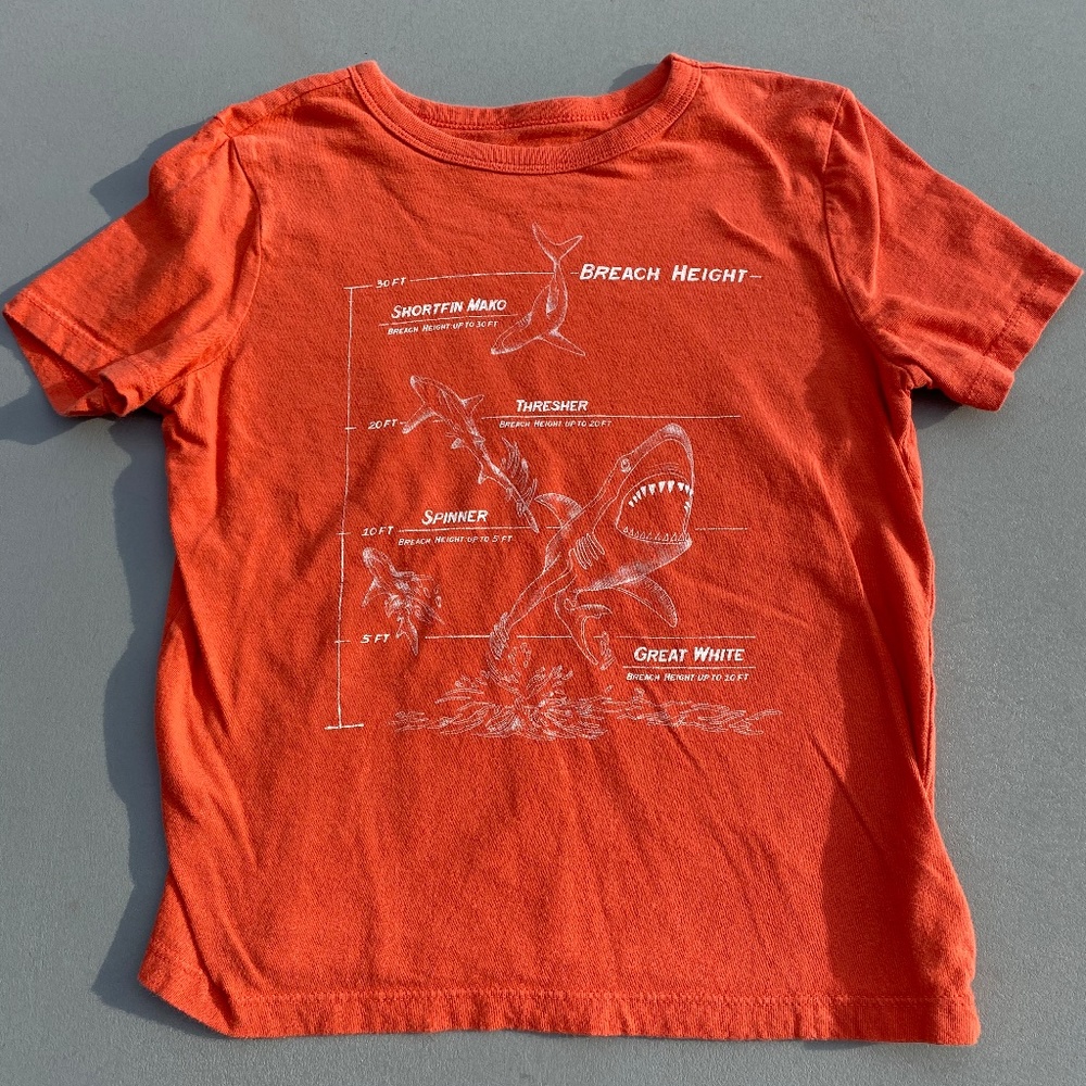 Shark Short Sleeve T-shirts - Size S P